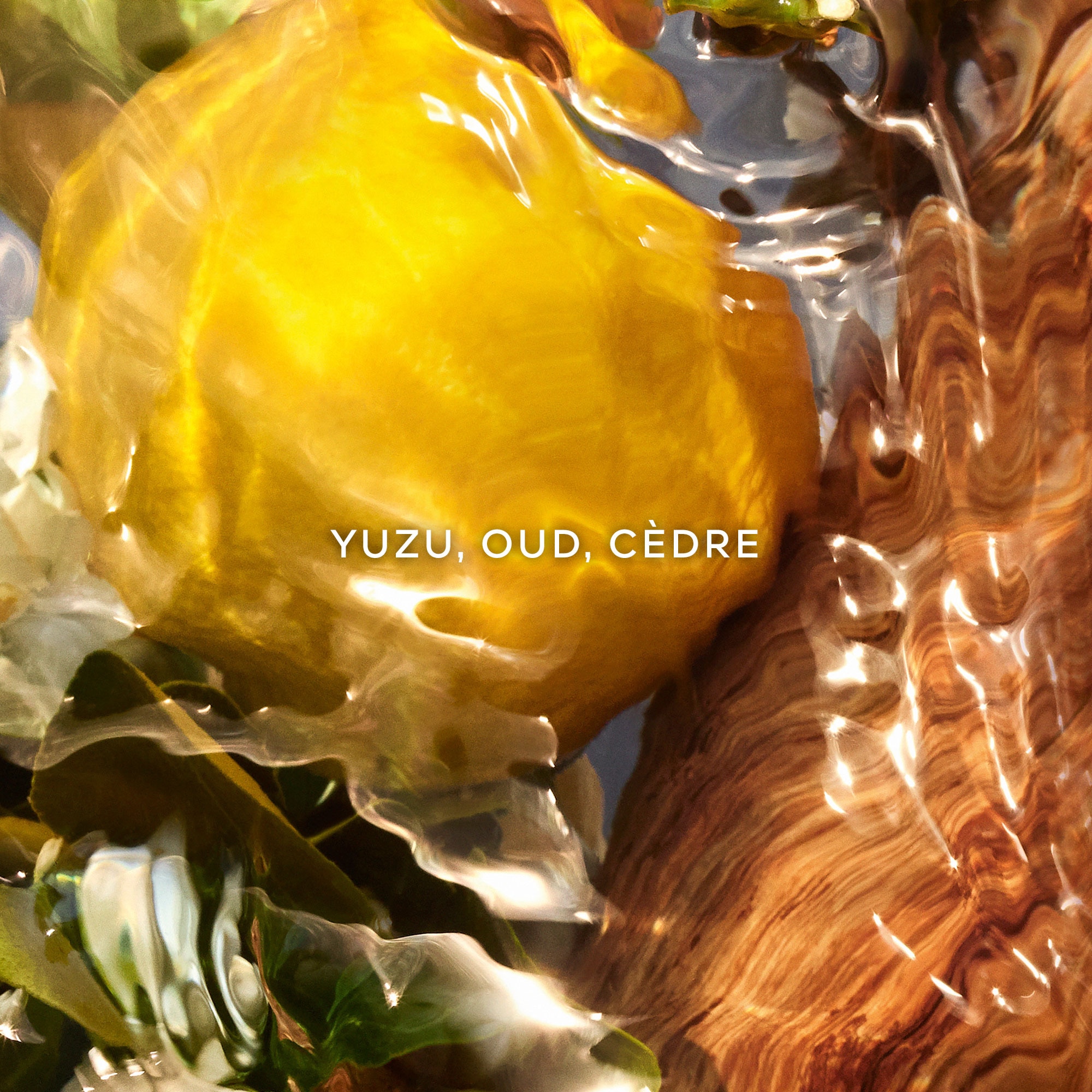 Oud yuzu - eau de parfum
