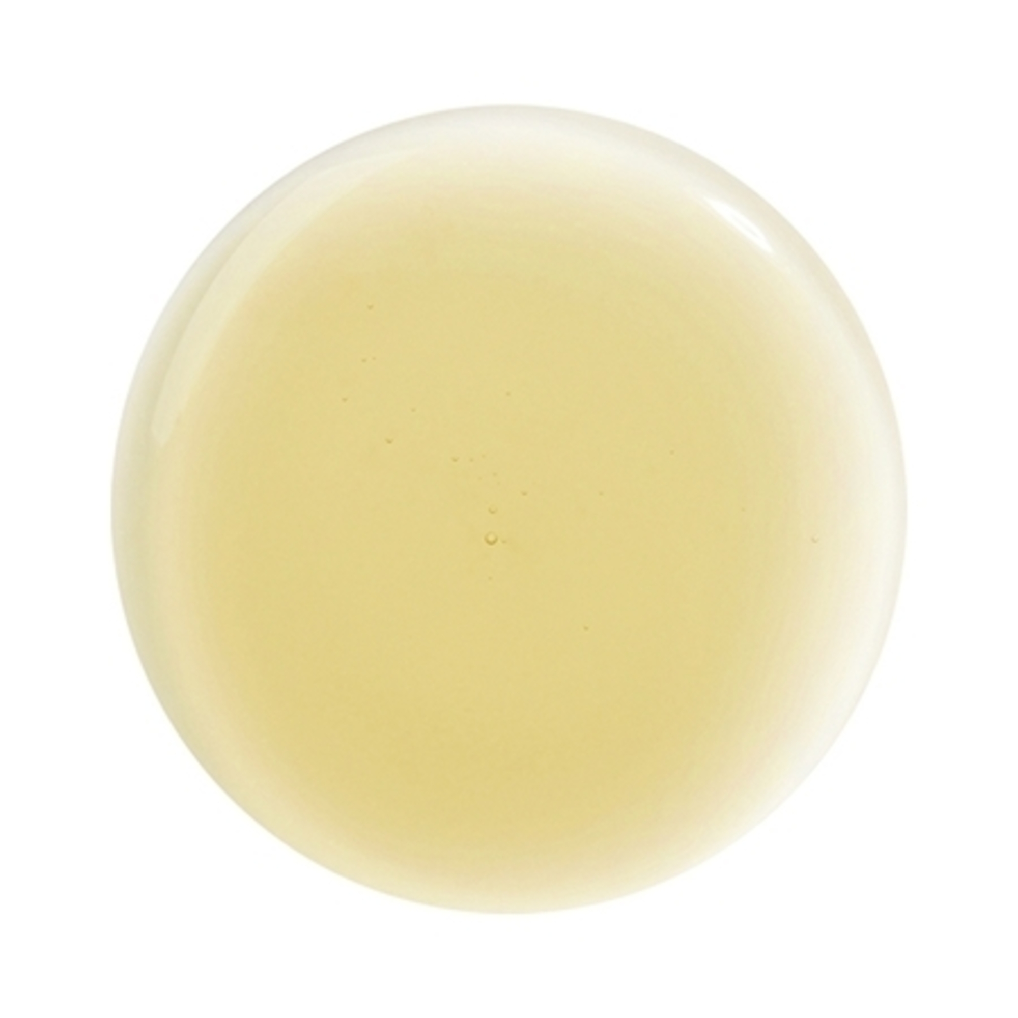 Soin Lavant Lissant à l'huile de Moringa