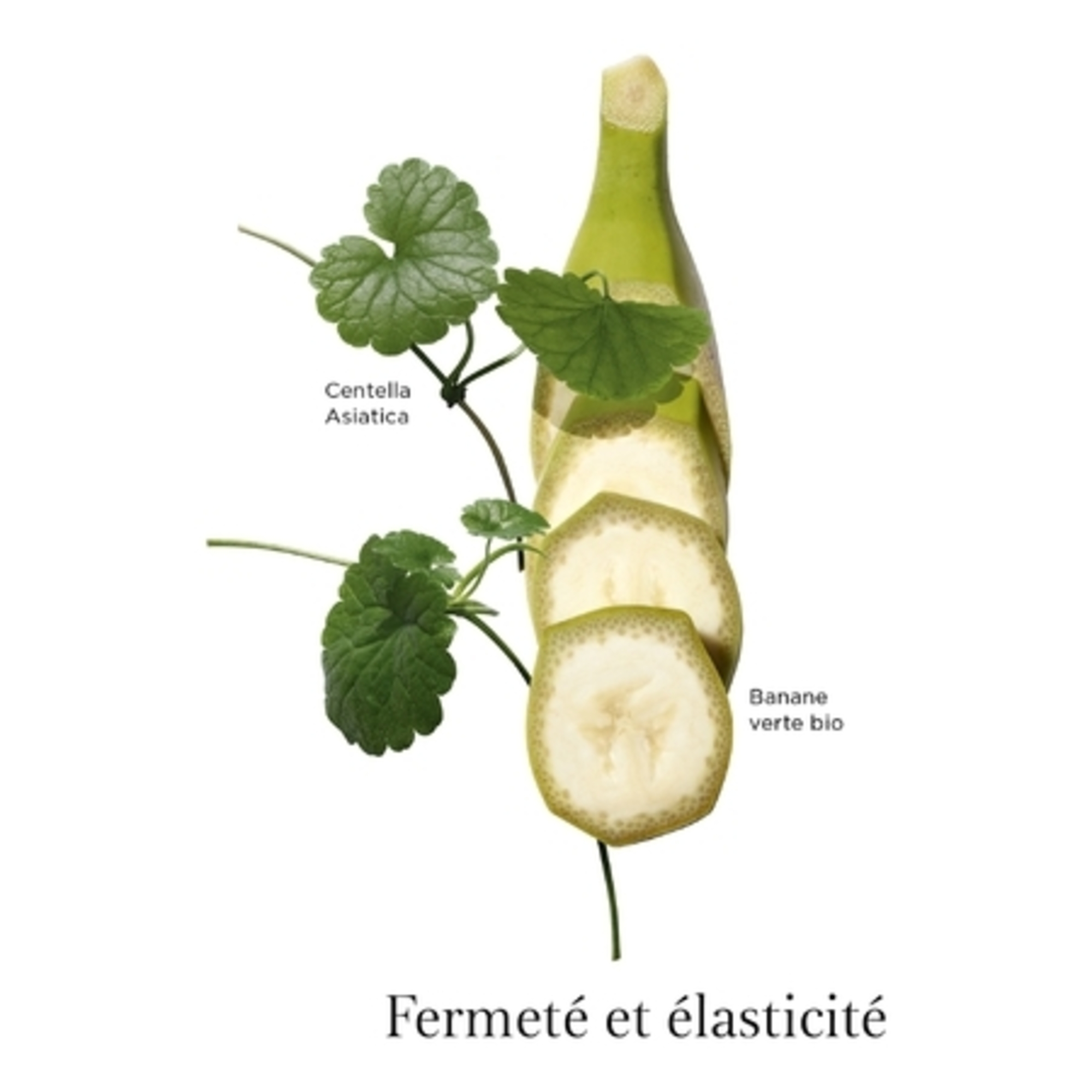 Body Partner expert vergetures