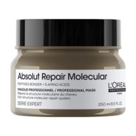 250ML L'ORÉAL PROFESSIONNEL ABSOLUT REPAIR MOLECULAR Masque concentré professionnel  1 of 2 