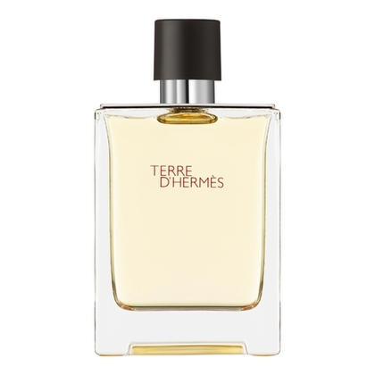 100ML Hermès TERRE D'HERMÈS Eau de toilette  1 of 4 