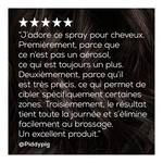212G L'ORÉAL PROFESSIONNEL TECNI ART FIX DESIGN Spray fixation localisée  3 of 4 Spray fixation localisée
