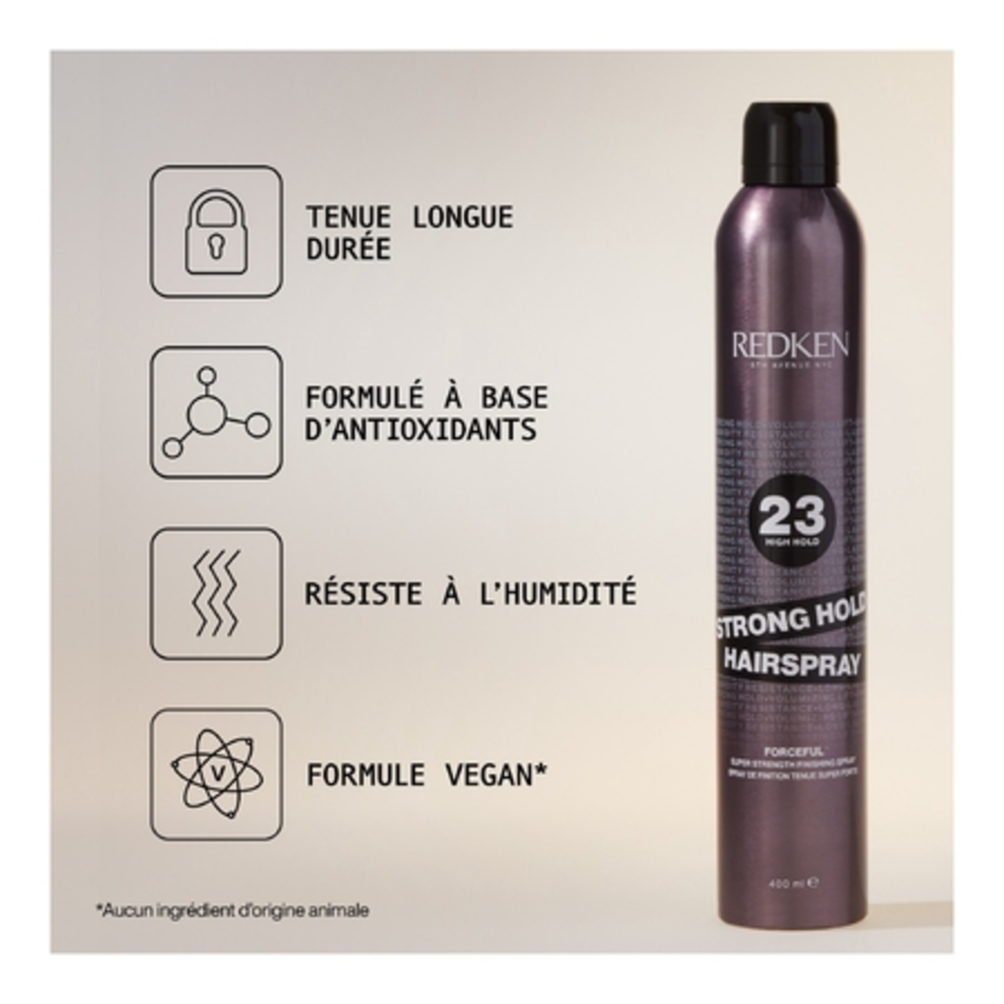 Spray de fixation tenue maximale
