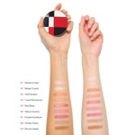  SHISEIDO EXCLU SUBLIMATEUR ÉCLAT TEINT & REGARD Poudre  2 of 4 Poudre