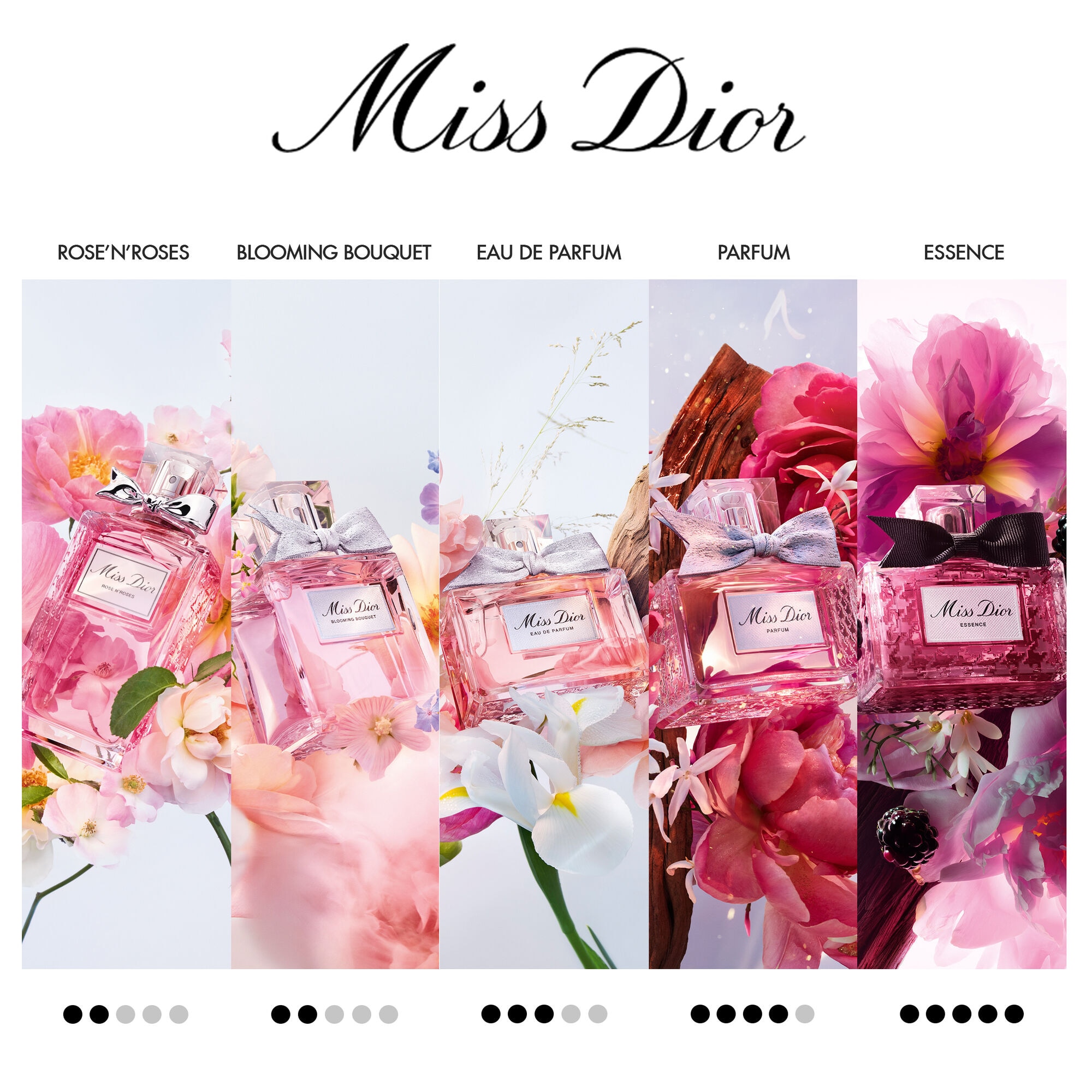 50mL DIOR MISS DIOR ROSE N'ROSES Eau de toilette  1 of 4 