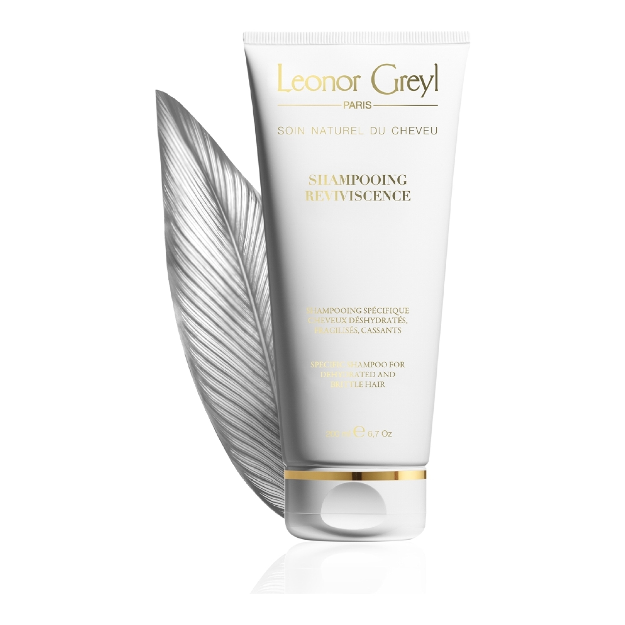 Shampooing reviviscence
