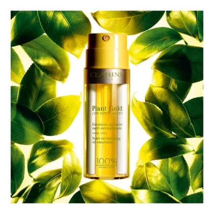 Plant Gold - L'Or des Plantes