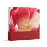  MARIONNAUD IDYLLE FLORALE Le rituel corps - idylle florale  2 of 4 Le rituel corps - idylle florale