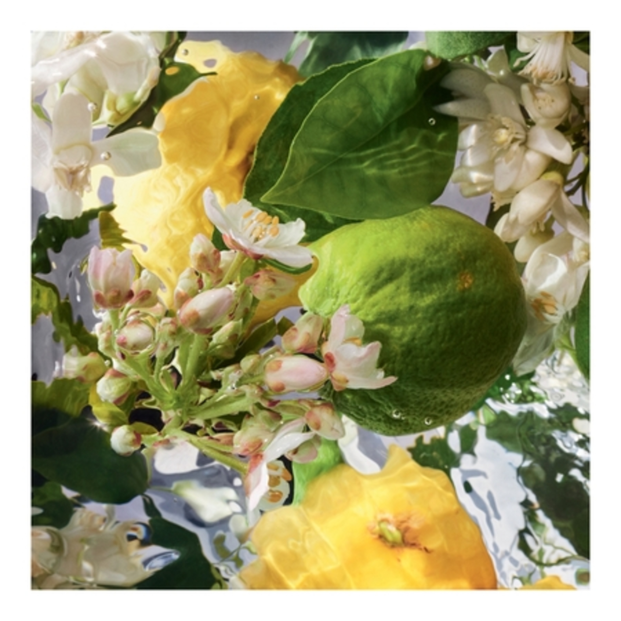 Bergamote Calabria - eau de toilette