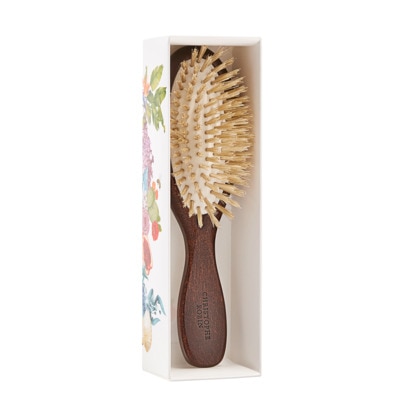Brosse de voyage
