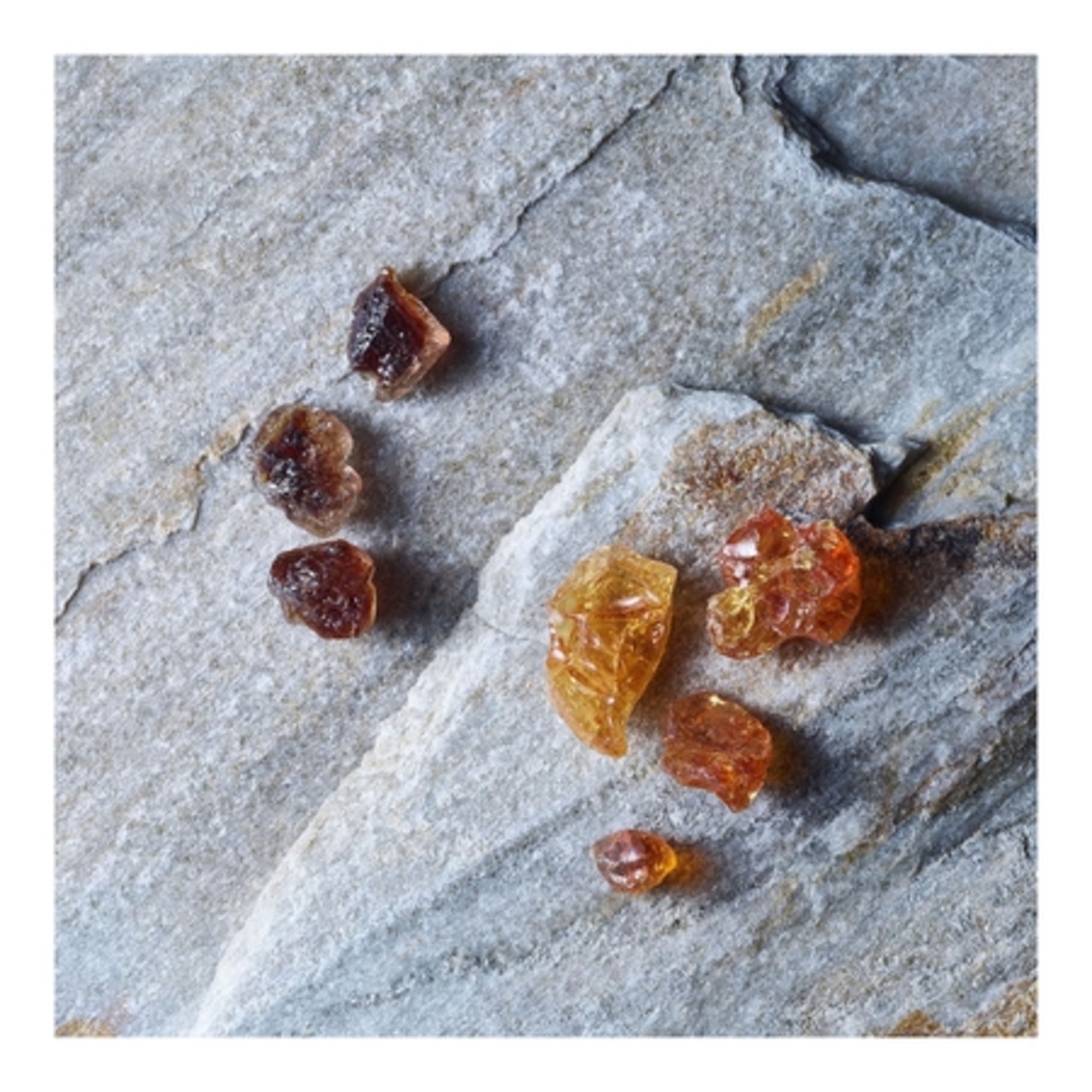 Life is a journey - parfum voiture