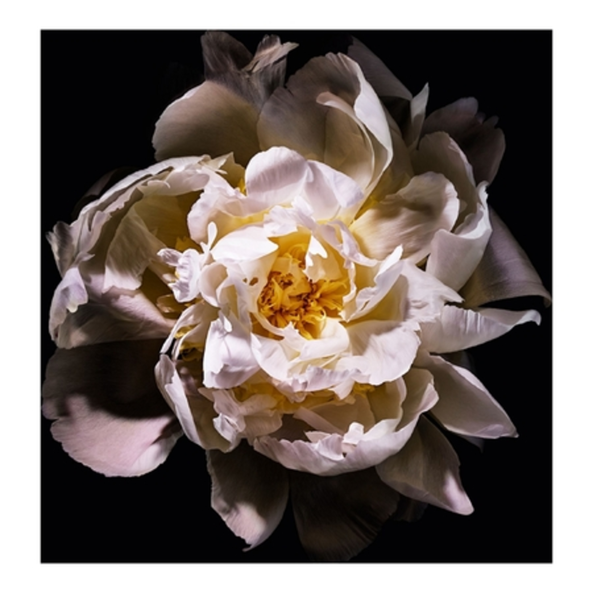 Lumière - Eau de Toilette Vaporisateur