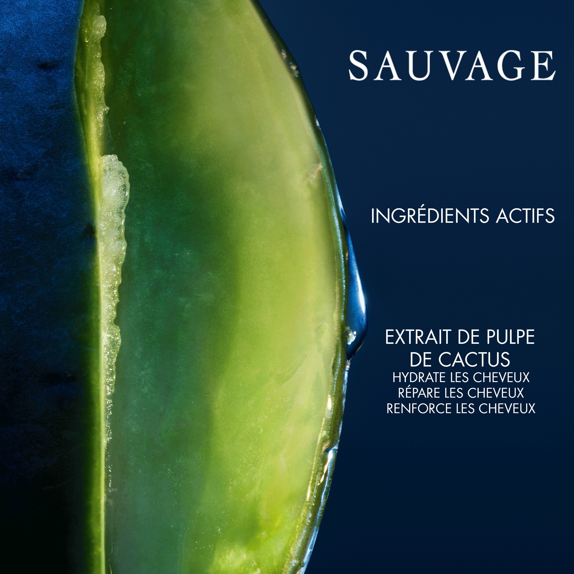 250ML DIOR SAUVAGE Shampoing hydratant et adoucissant 1 of 4