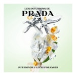 100ML Prada INFUSION DE FLEUR D'ORANGER Eau de parfum  4 of 4 Eau de parfum