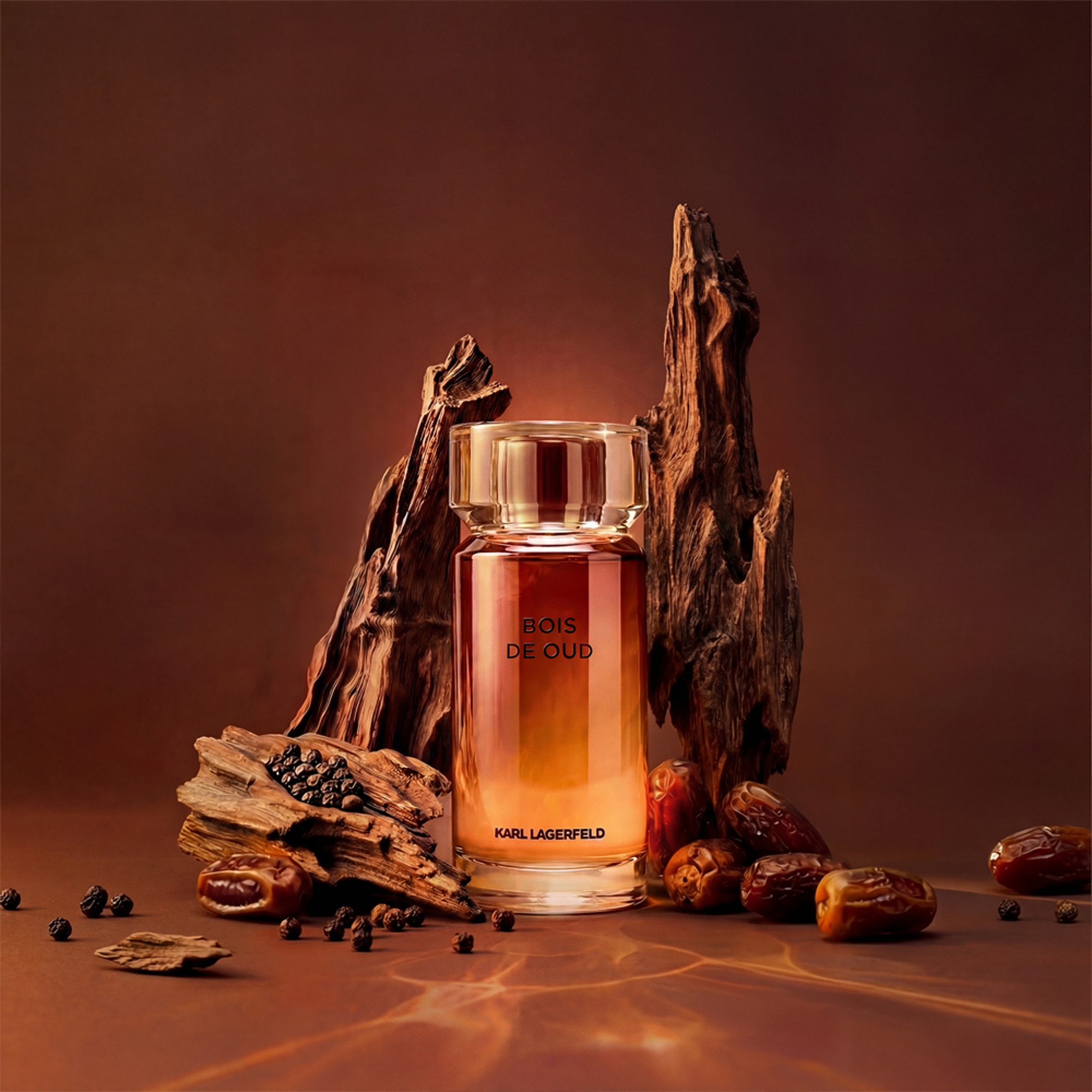 50mL KARL LAGERFELD LES PARFUMS MATIÈRES Bois de oud - eau de toilette 1 of 4