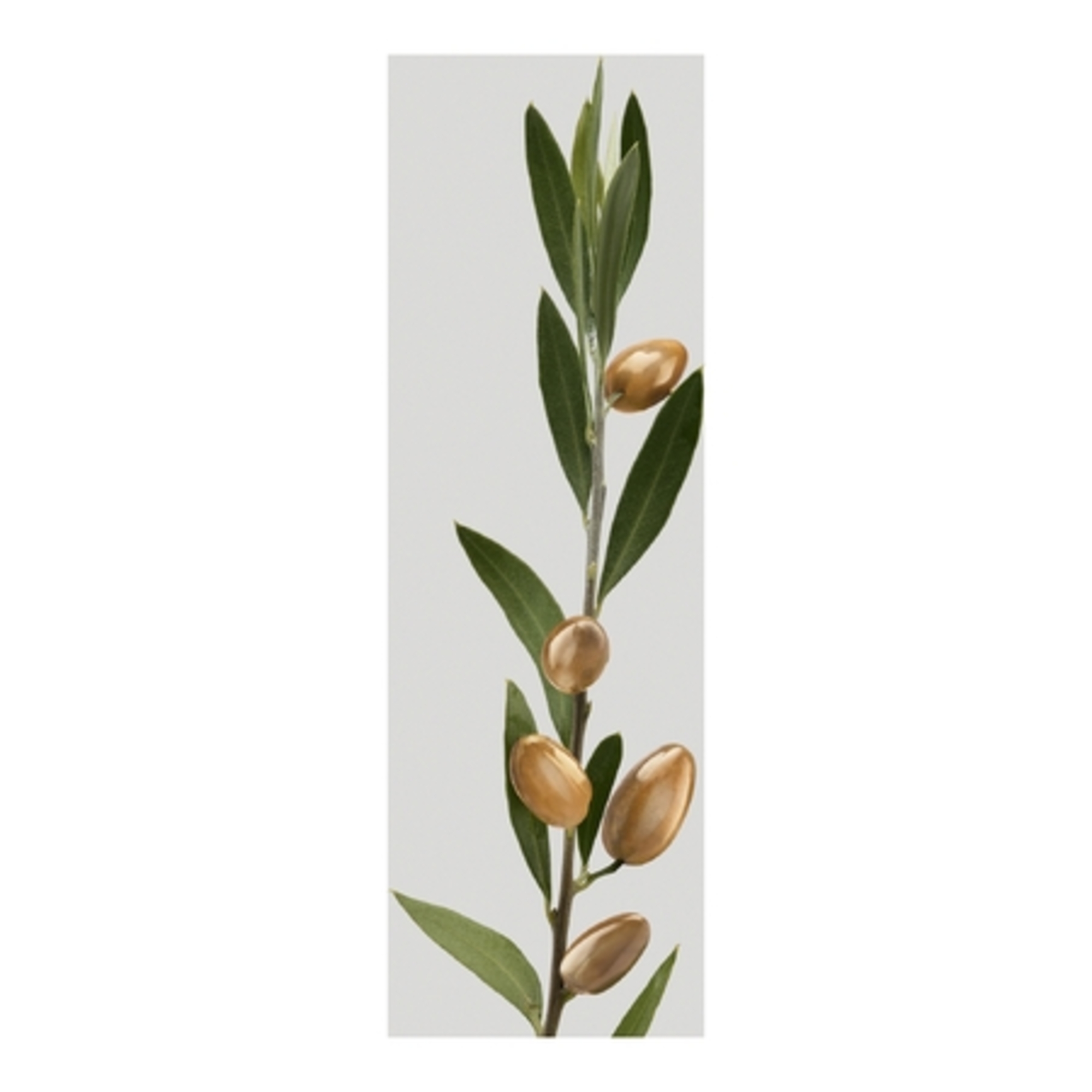 Conditioner cheveux abimés