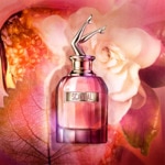 Jean Paul Gaultier SCANDAL Coffret - eau de parfum + format voyage 4 of 4 Coffret - eau de parfum + format voyage