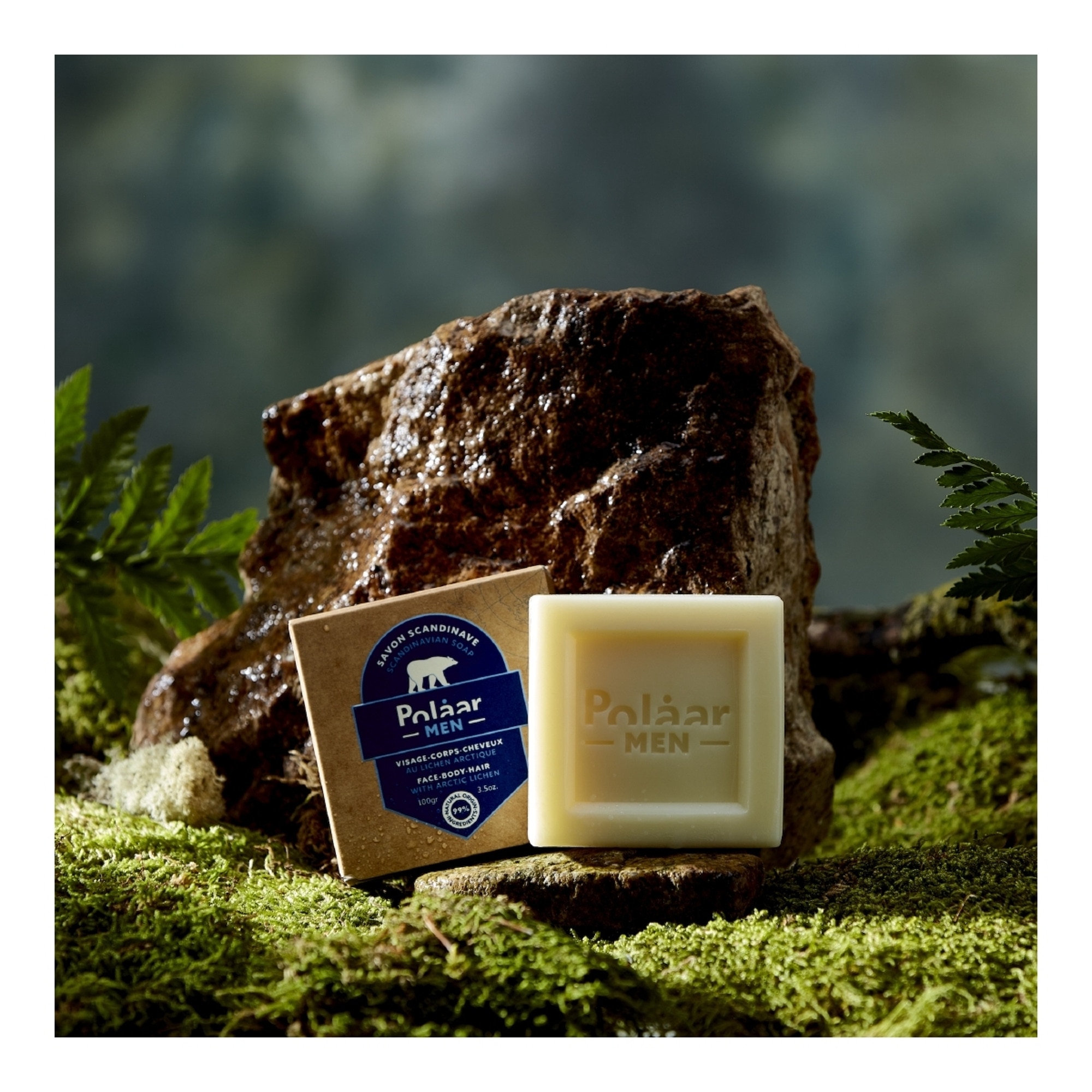Savon scandinave visage, corps & cheveux au lichen arctique