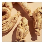  ERBORIAN BB CRAYON AU GINSENG Correcteur de teint et de soin  4 of 4 Correcteur de teint et de soin