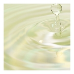200ml PATYKA PURE Lotion purifiante équilibrante  2 of 3 Lotion purifiante équilibrante