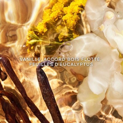 Bosca vanilla - eau de parfum