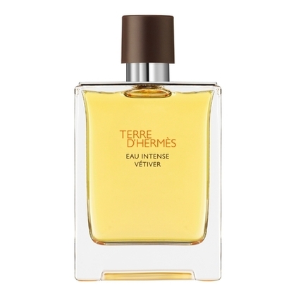 100ML Hermès TERRE D'HERMÈS EAU INTENSE VÉTIVER Eau de parfum  1 of 4 