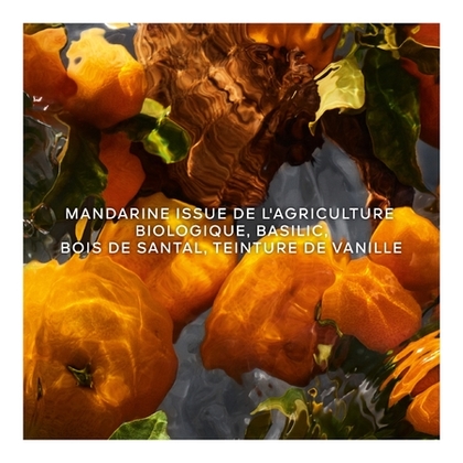 Coffret eau de parfum "MANDARINE BASILIC FORTE"+ lait pour le corps + miniature