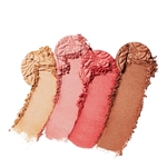  BY TERRY BRIGHT CC Palette  2 of 4 Palette