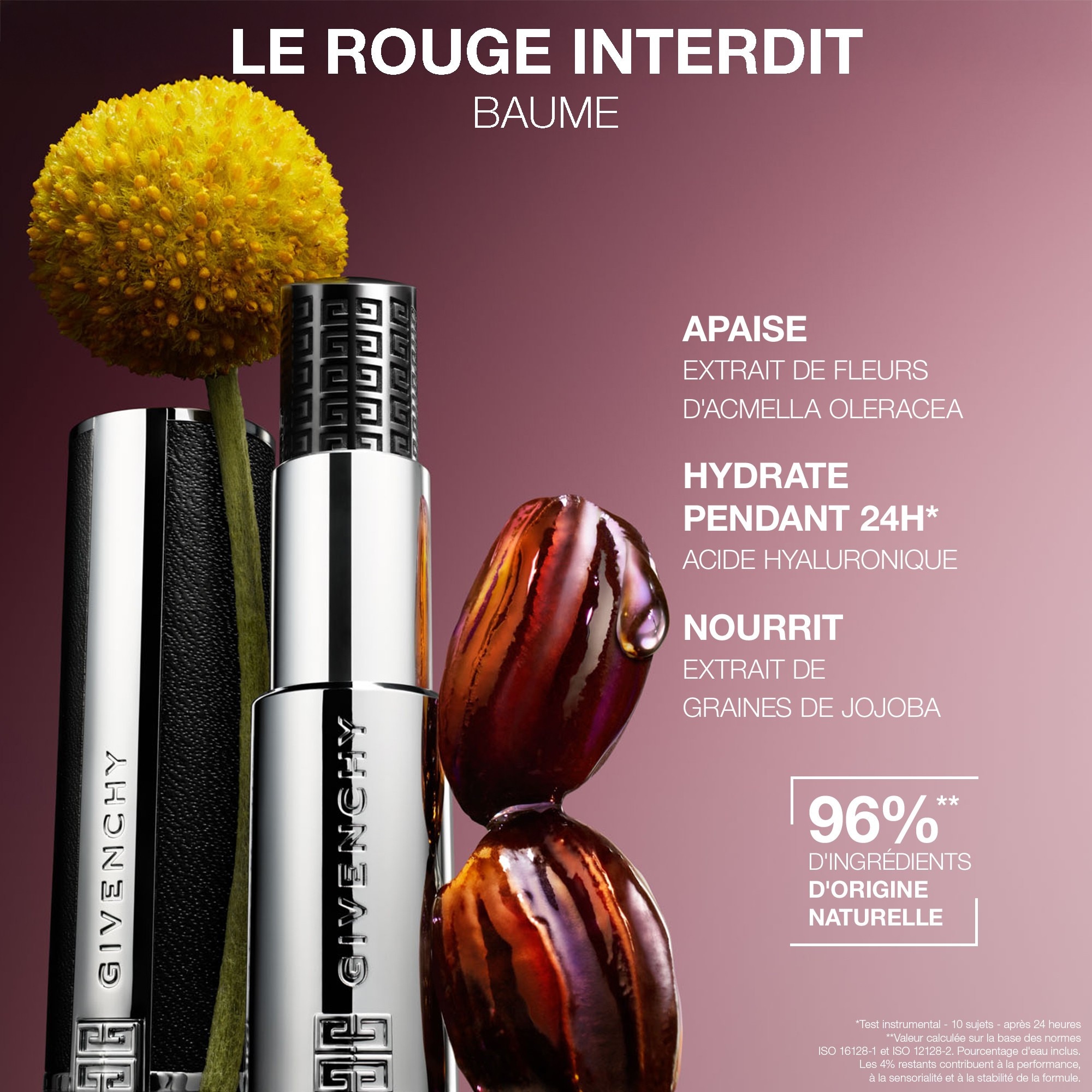 Baume à Lèvres Hydratation 24H Enrichi en Soin