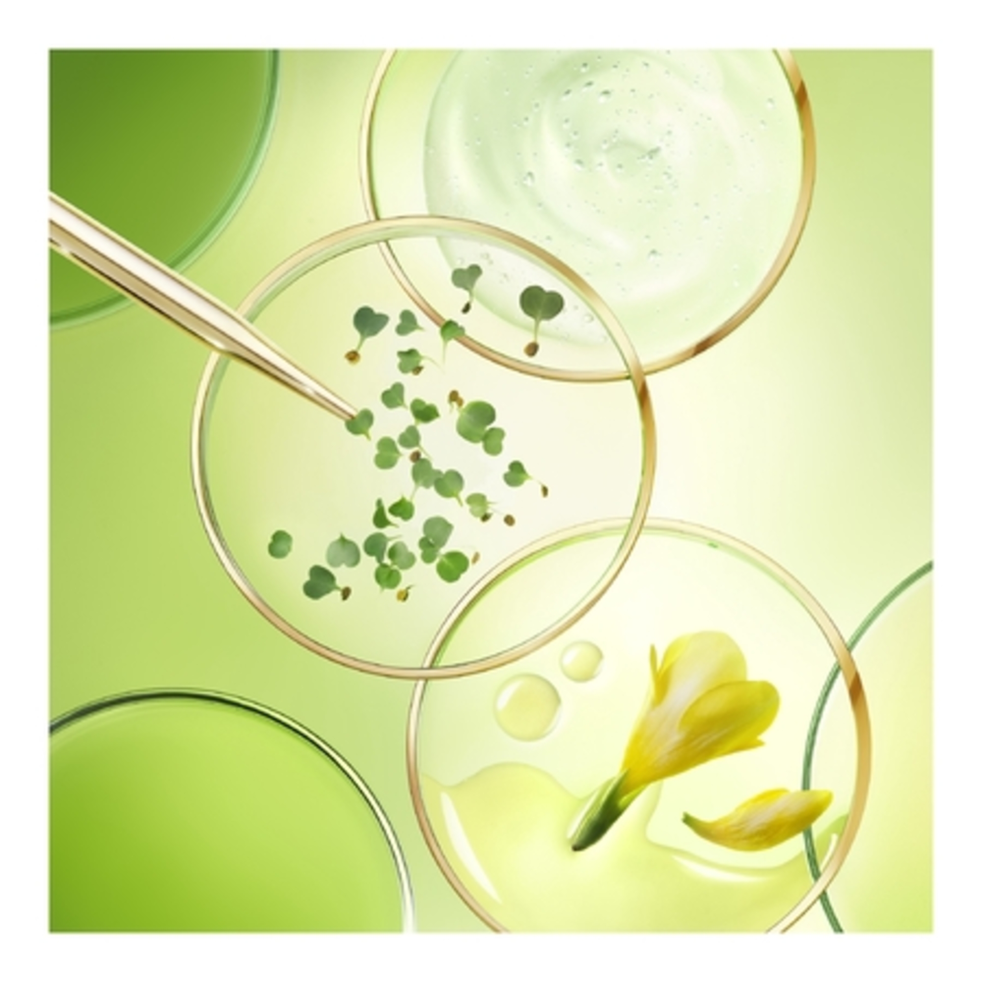 La crème riche anti-âge global, nuxuriance ultra