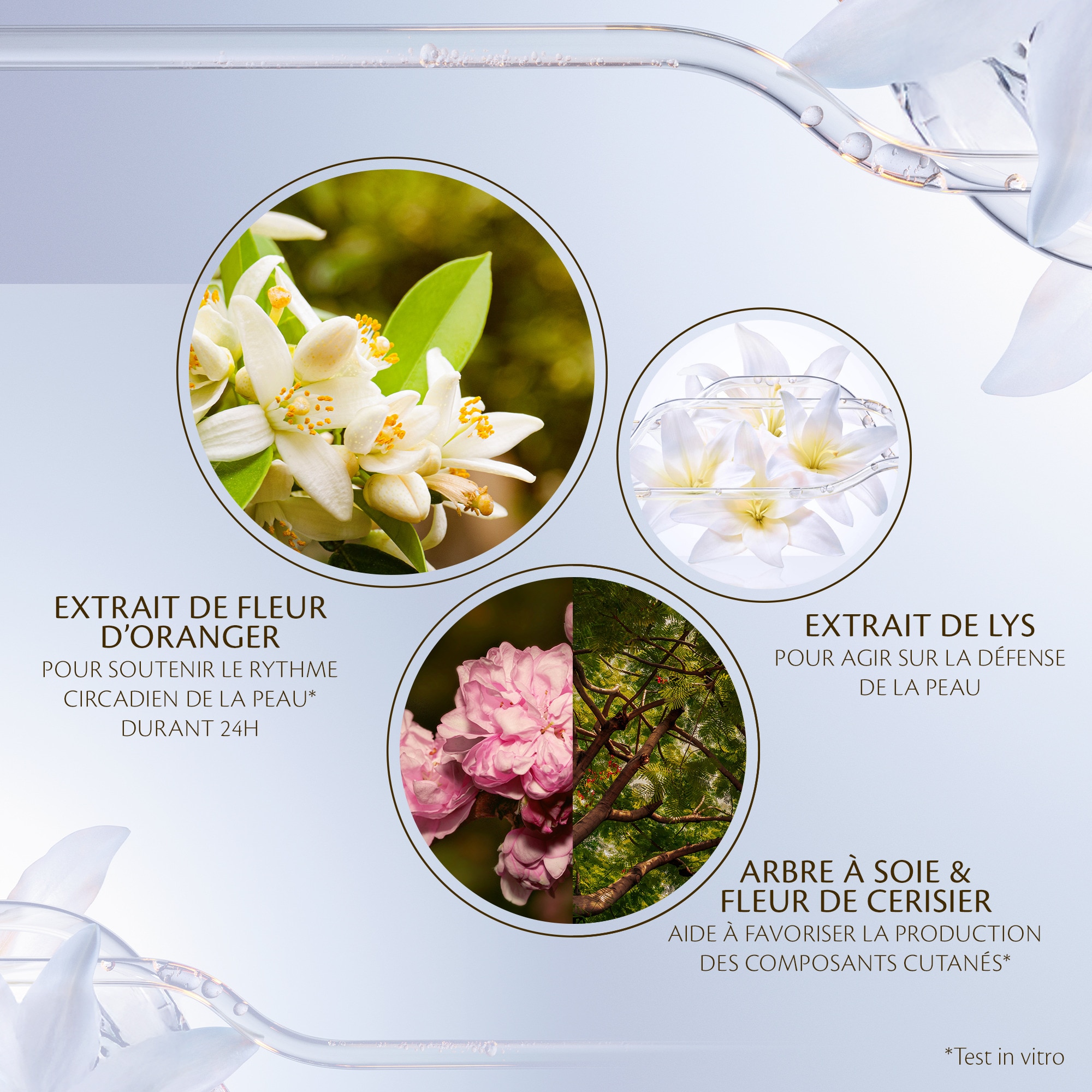 Crème nuit intensive renforcée