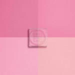 GIVENCHY PRISME LIBRE Poudre libre 4 couleurs 2 of 4 Poudre libre 4 couleurs