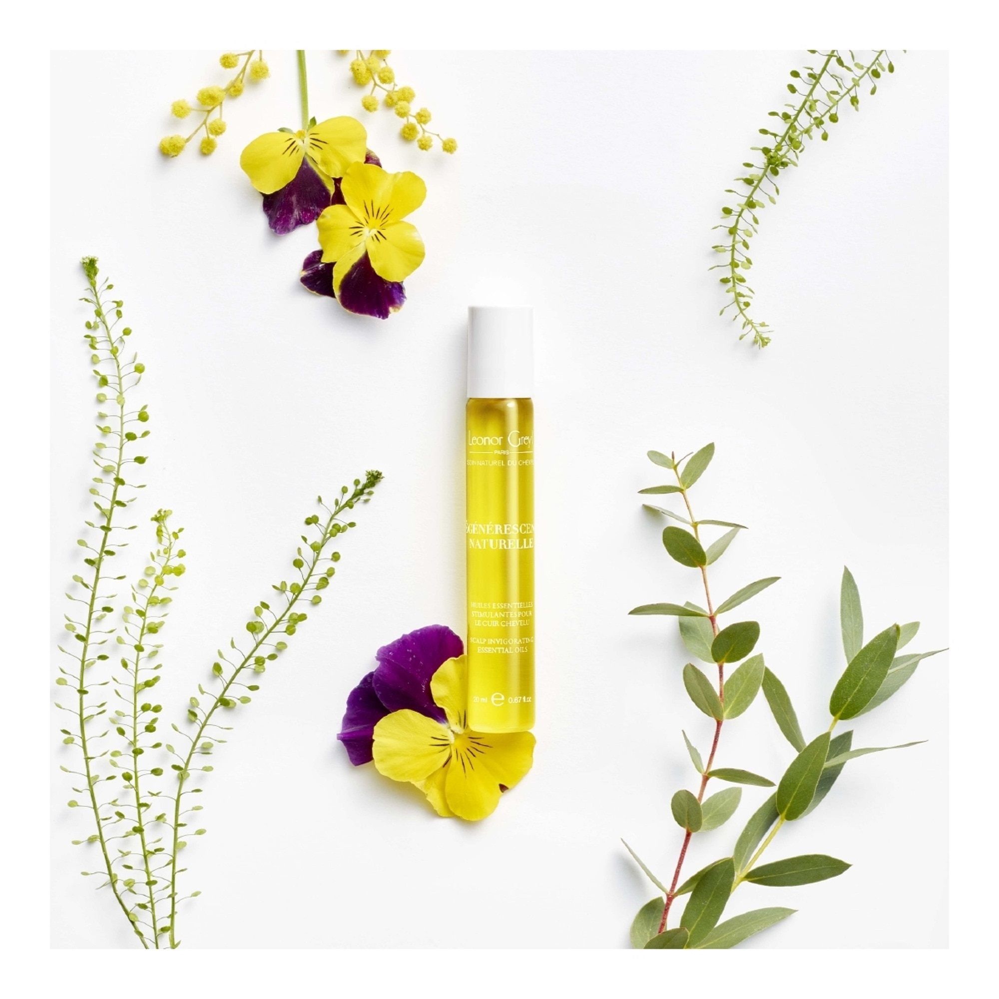 Régénérescence naturelle huiles essentielles stimulantes pour le cuir chevelu