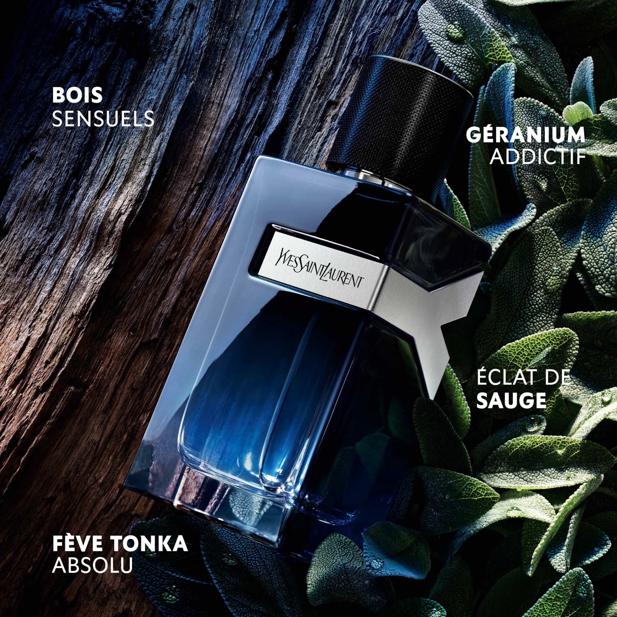 200ML Yves Saint Laurent Y Eau de parfum vaporisateur  1 of 4 
