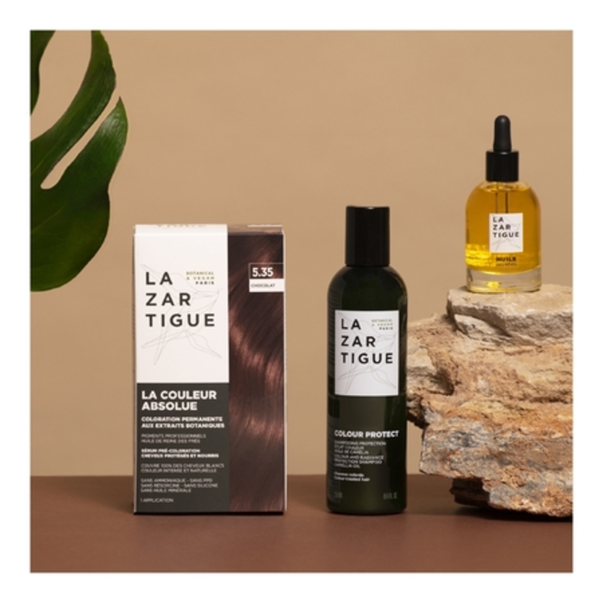 Shampooing protection éclat couleur