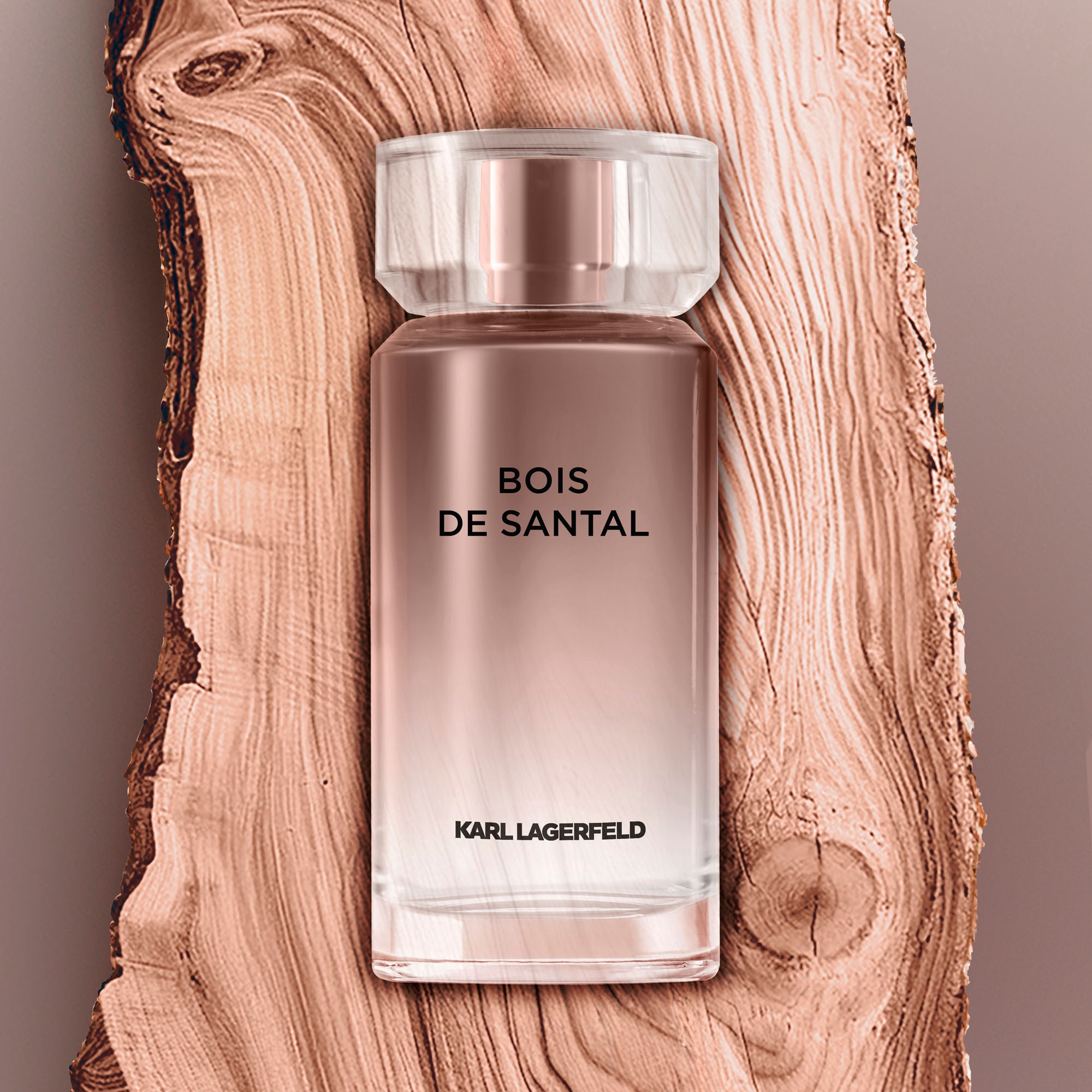 100ML KARL LAGERFELD LES PARFUMS MATIÈRES Bois de santal - eau de toilette  1 of 4 