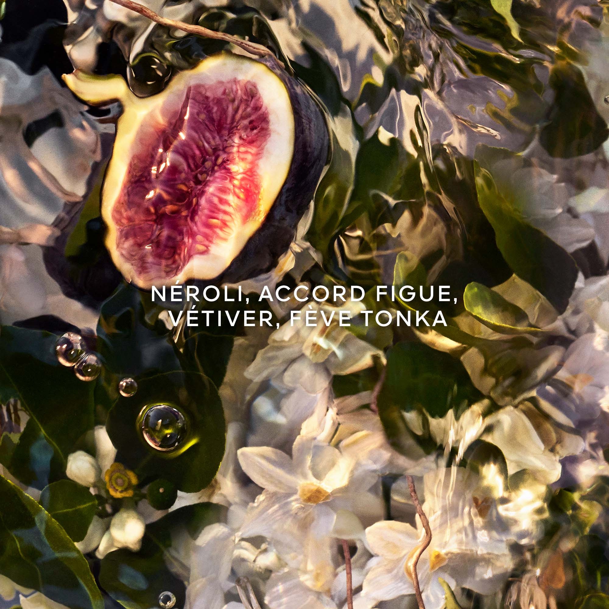 Nerolia vetiver - eau de parfum