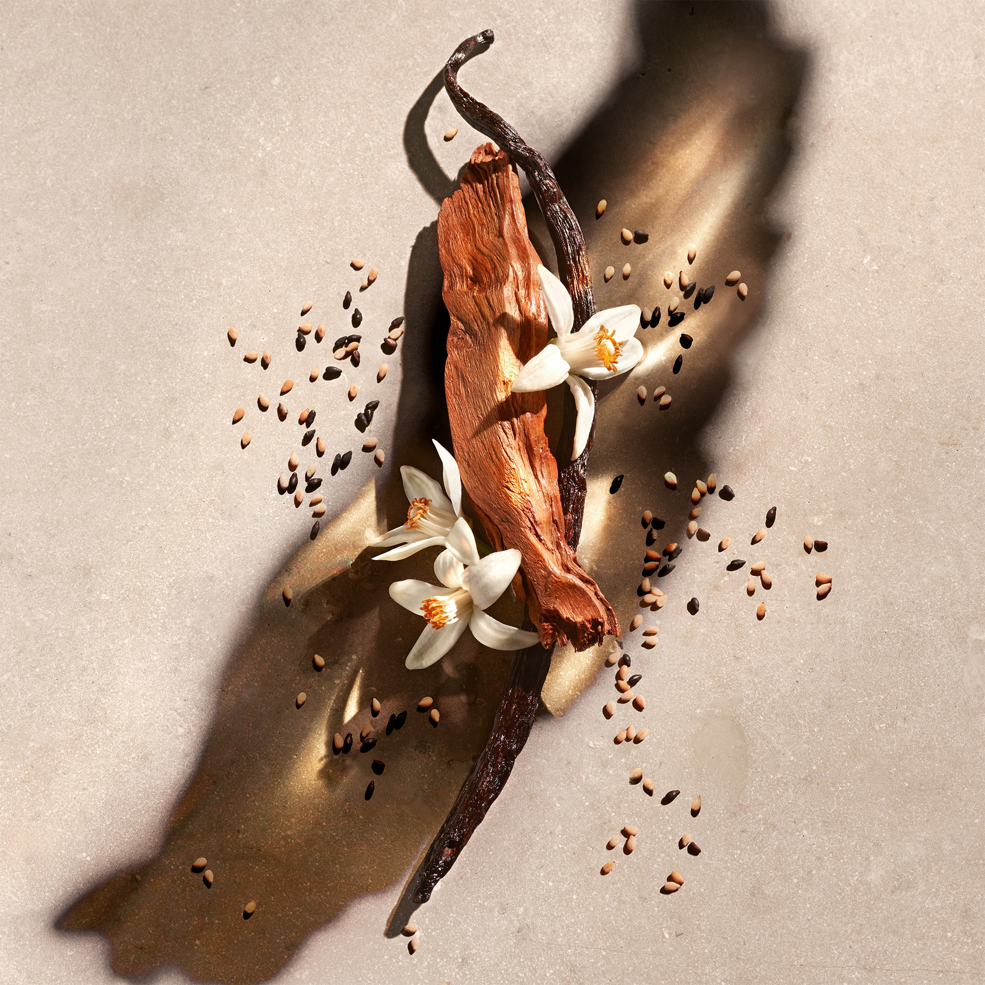 Coffret eau de parfum + lait pour le corps