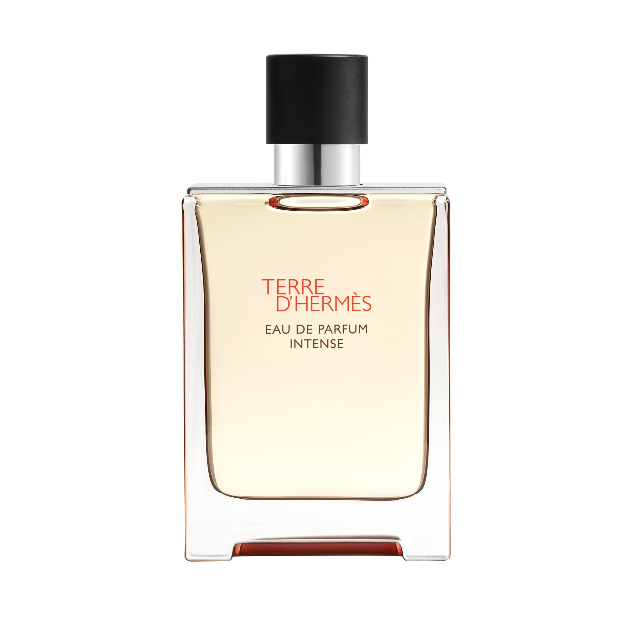 100ml Hermès TERRE D'HERMÈS Eau de parfum intense 1 of 4 Eau de parfum intense