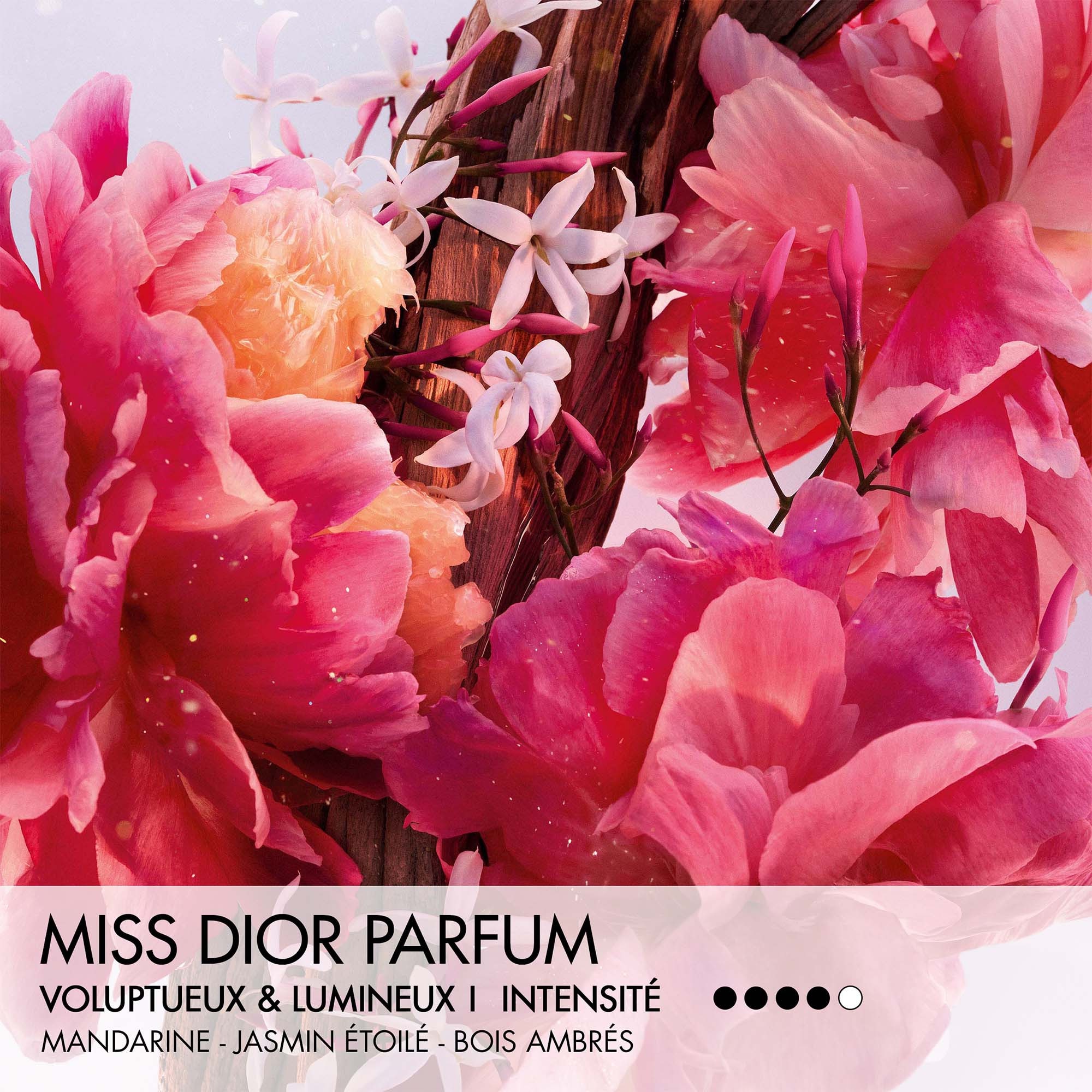 20ML DIOR MISS DIOR Parfum roller-pearl - notes florales fruitées et boisées 1 of 4