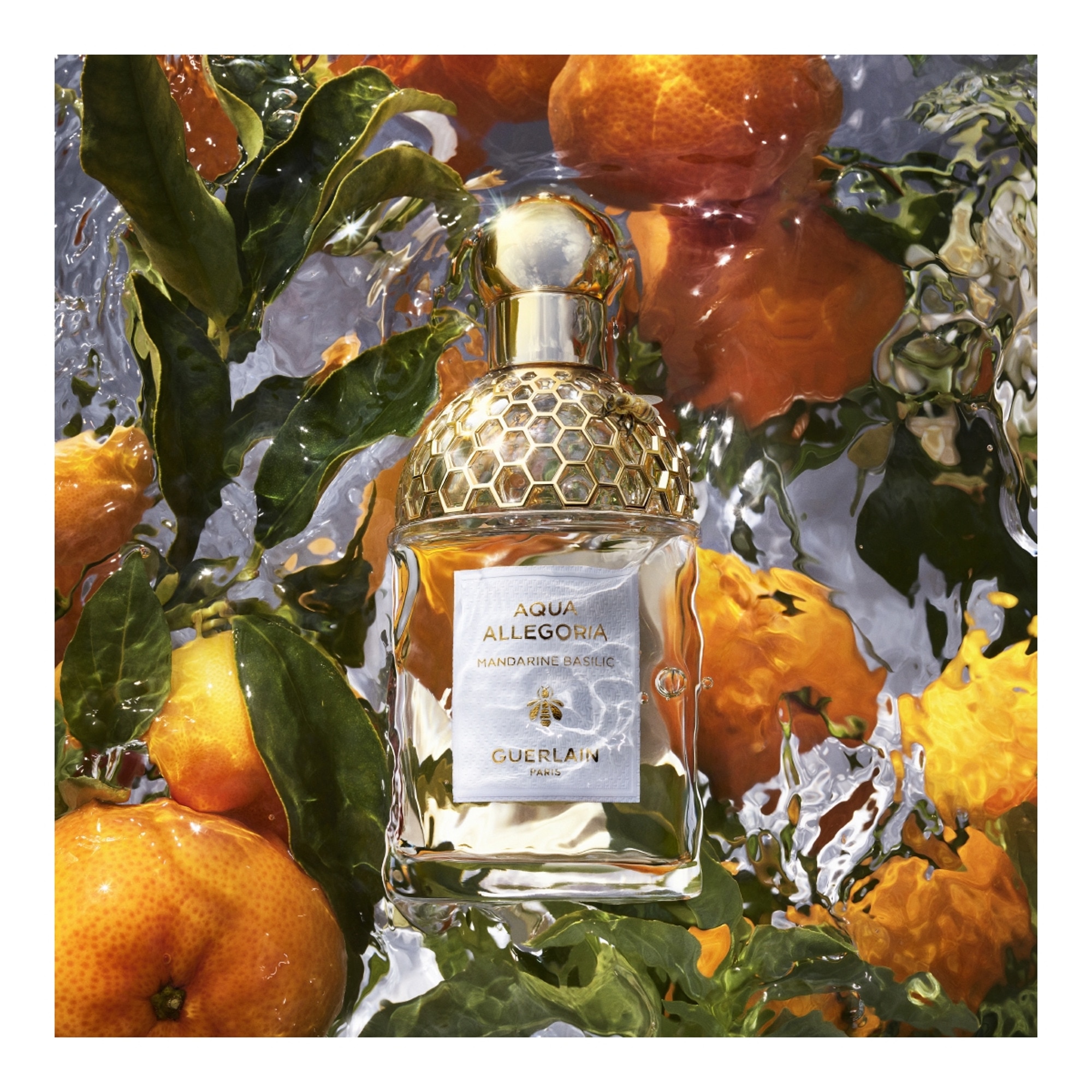 125ML Guerlain AQUA ALLEGORIA Mandarine basilic  1 of 4 