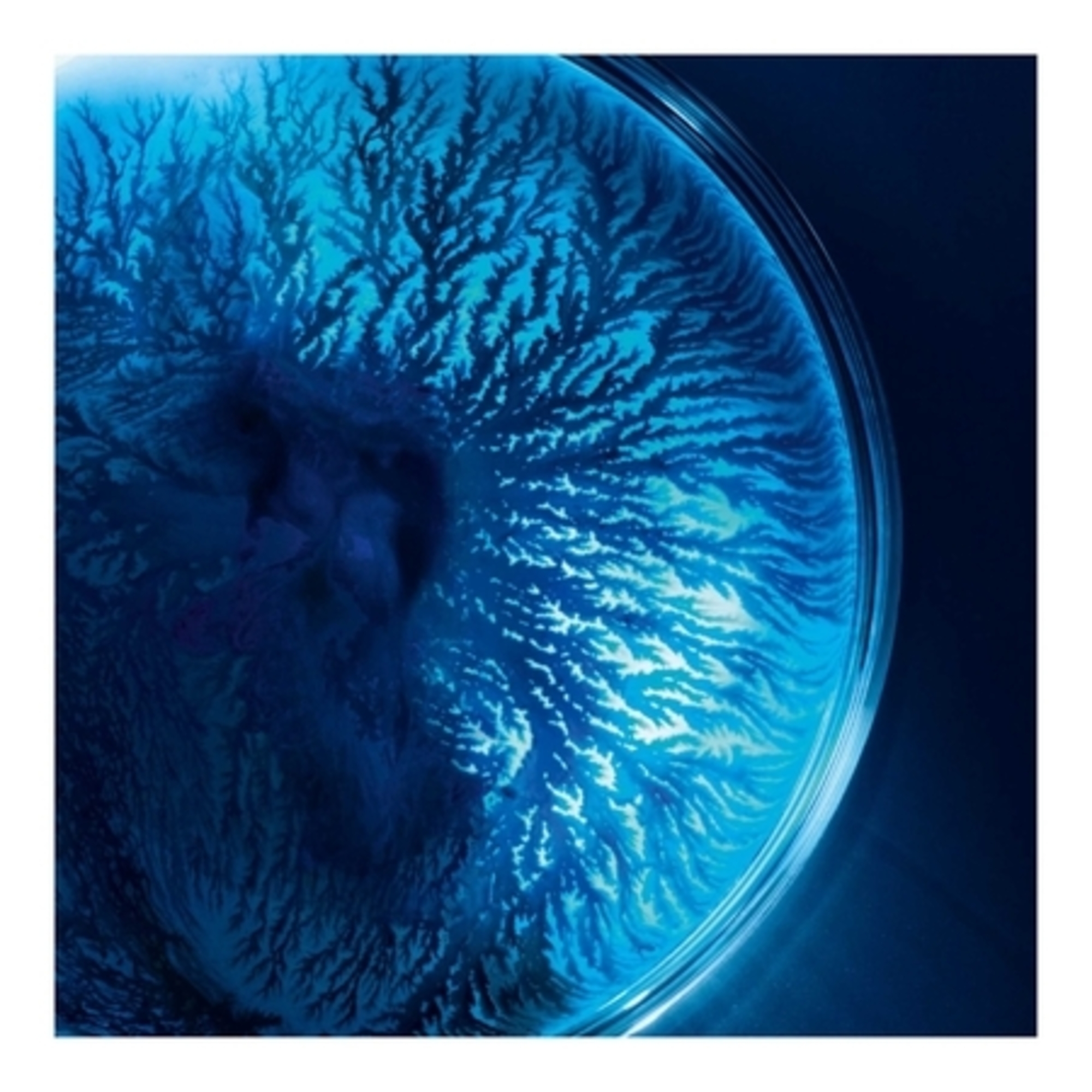 Masque hydratant & régénérant actif fondamental