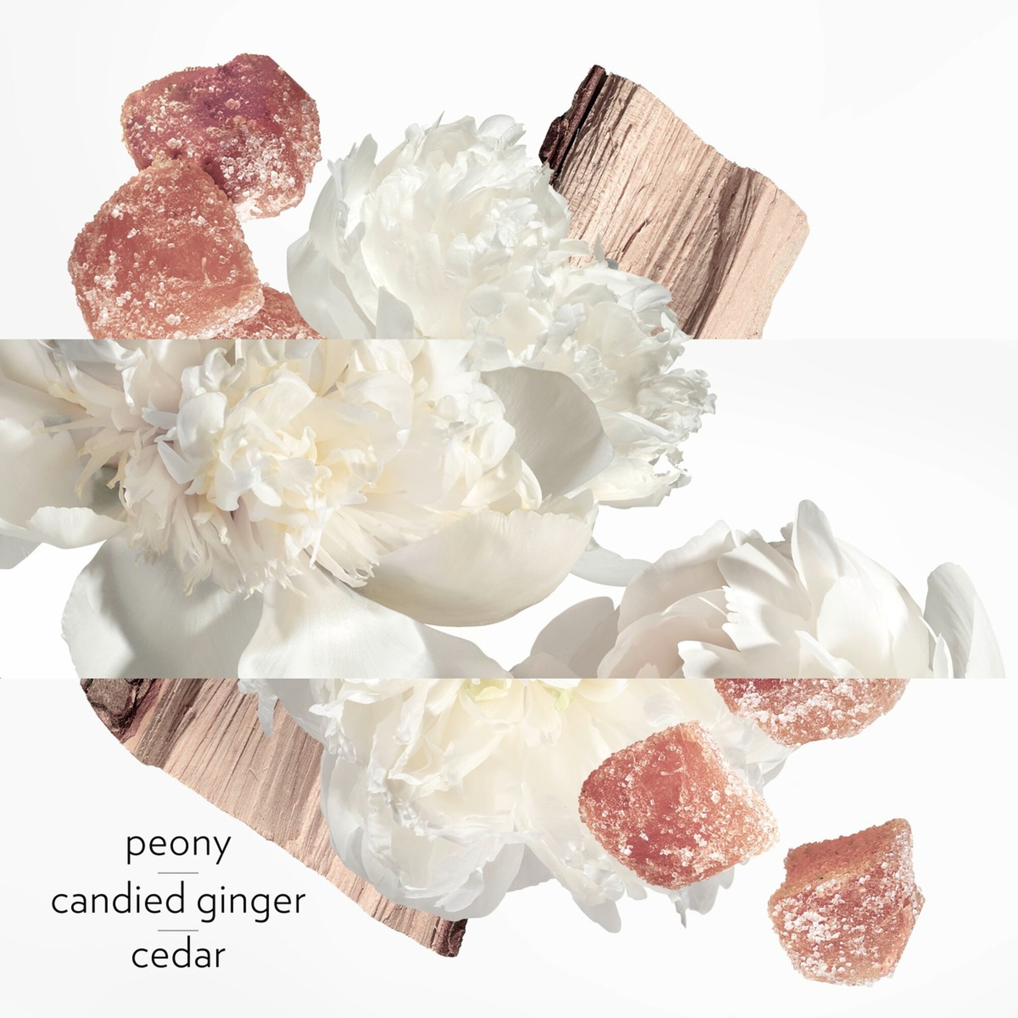 Eau ginger - eau de parfum