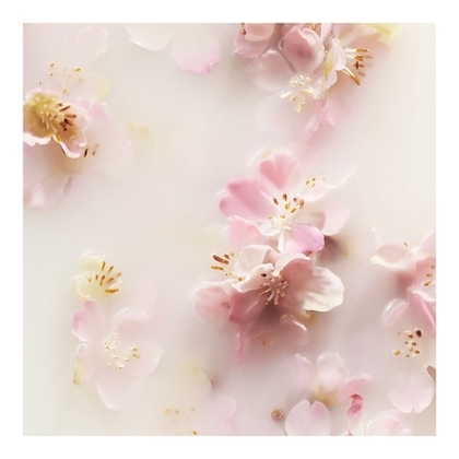 50G RITUALS THE RITUAL OF SAKURA Parfum voiture  1 of 4 