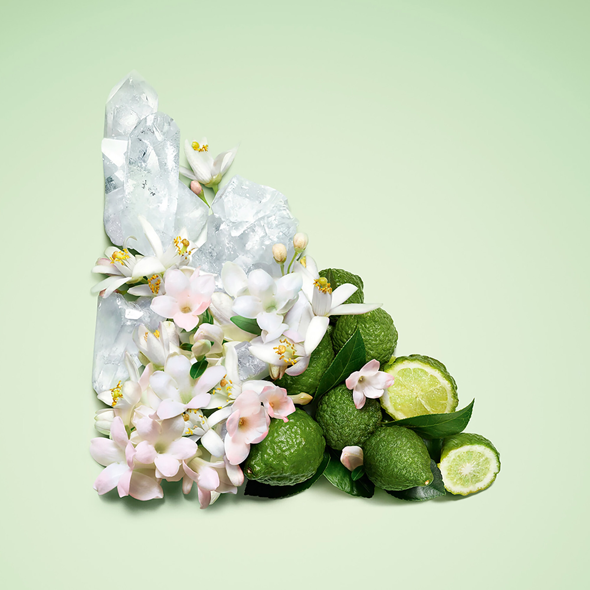 Eau de parfum recharge