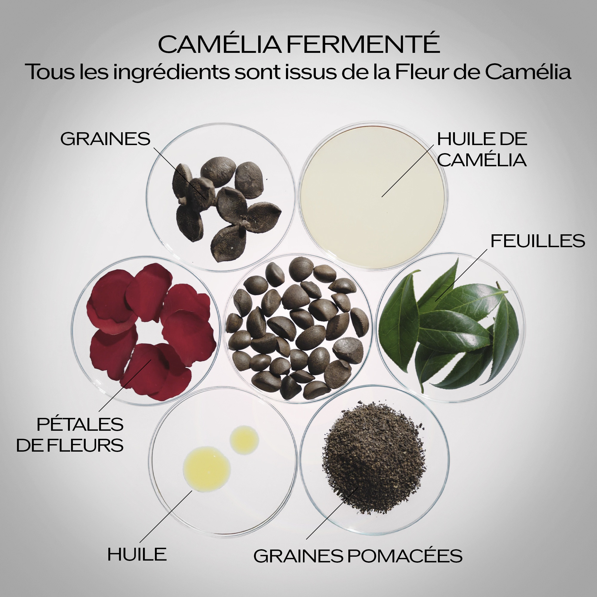 Sérum activateur energisant - recharge