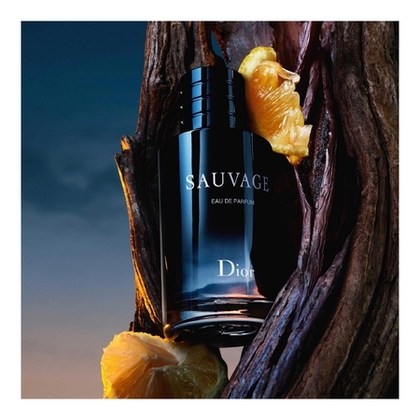 300ML DIOR SAUVAGE Recharge eau de parfum  1 of 4 