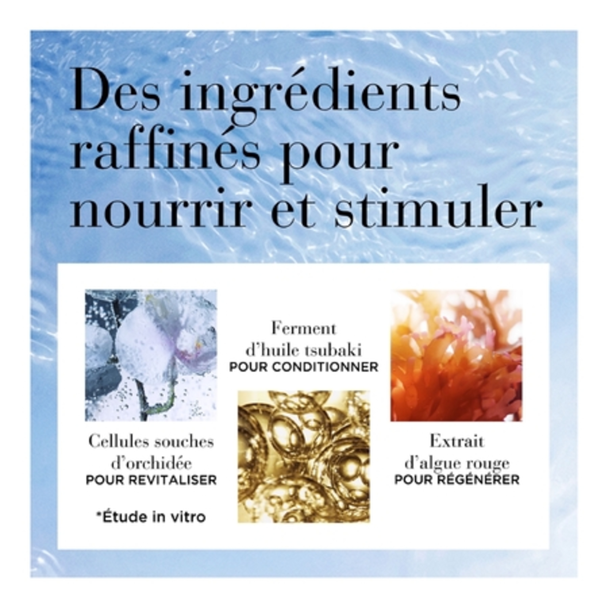 Micro-capsules essence régénératrice