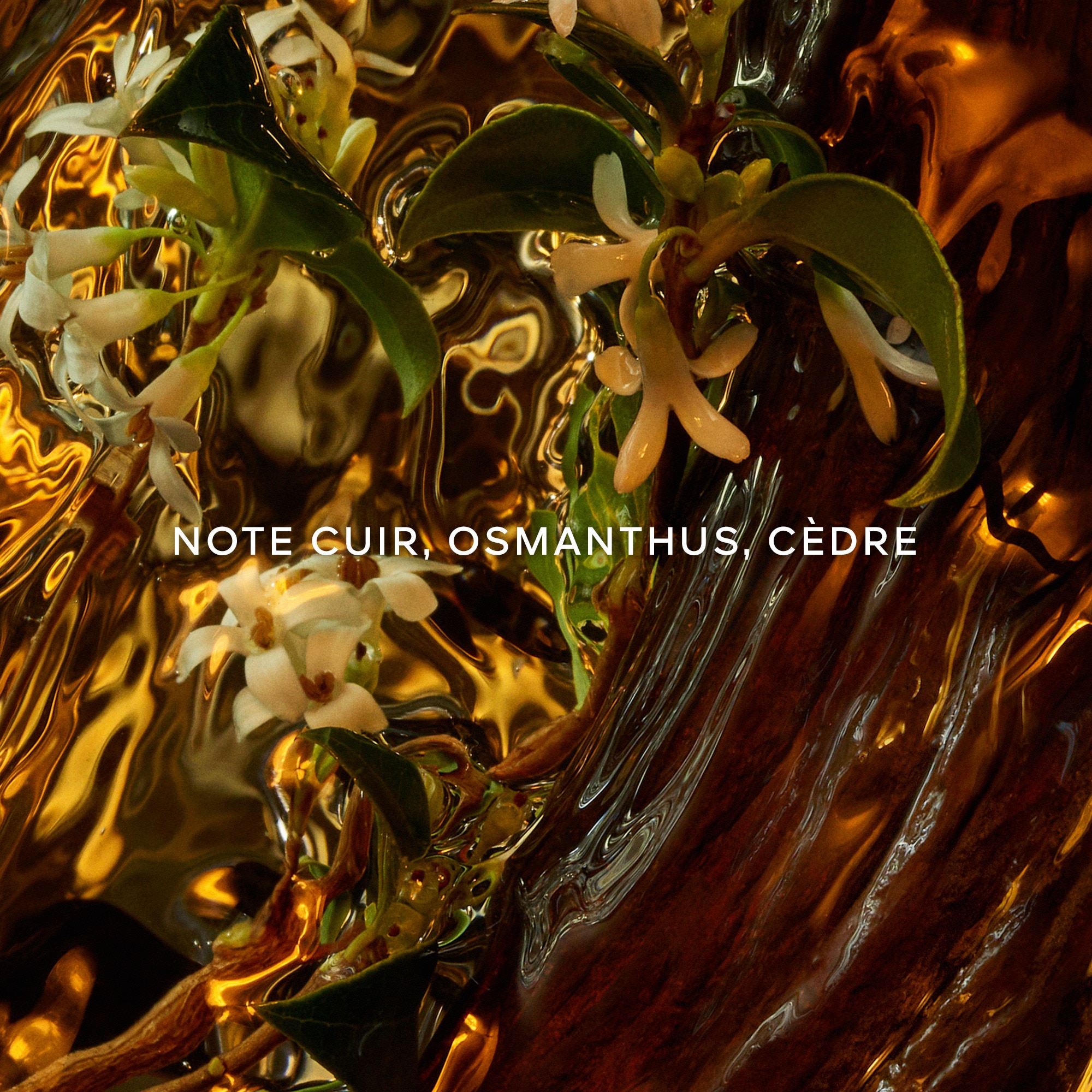 Cuir intense eau de parfum