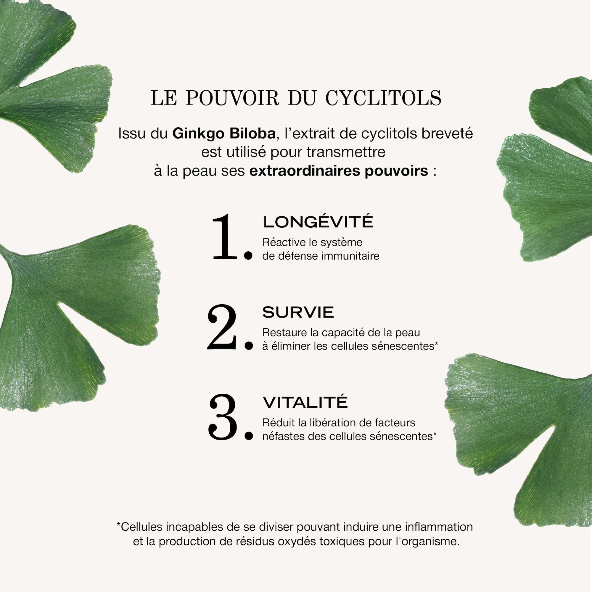 Concentré revitalisant